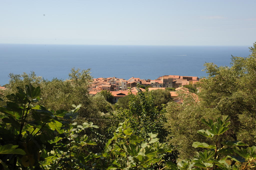 Agriturismo La Focazza Villa Ascea Luaran gambar